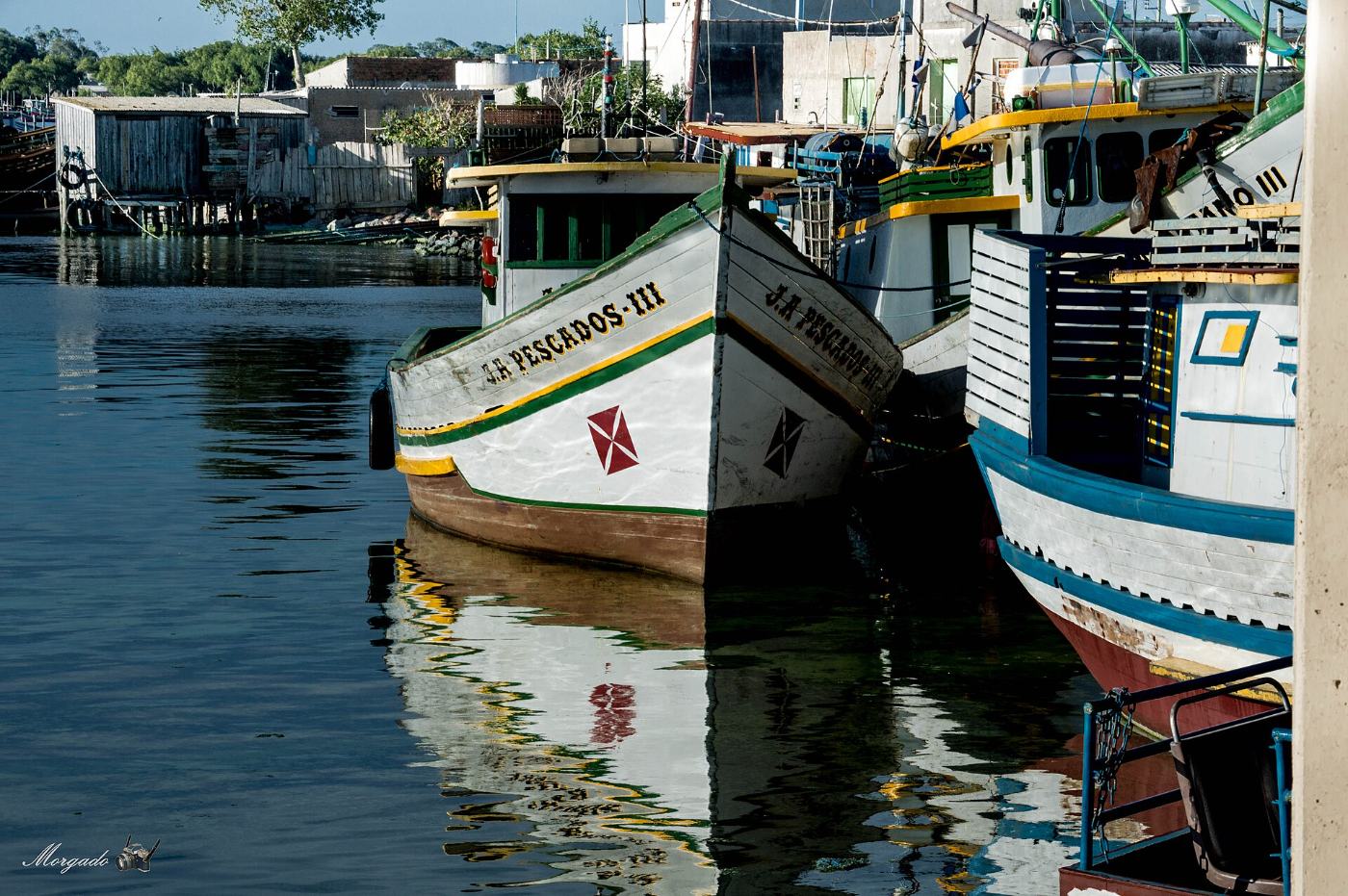 Barcos de pesca artesanal atracados no trapiche